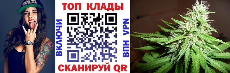 Лсд 25 Геленджик
