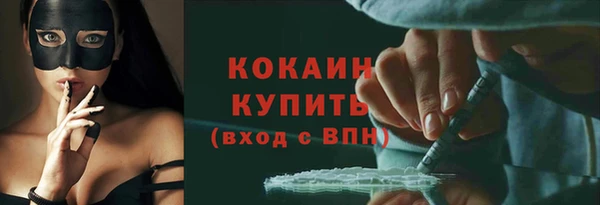 амф Бородино